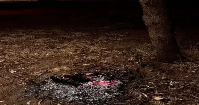 الأمن البيئي يضبط مواطنًا مخالفًا في عسير لإشعال النار في غير الأماكن المخصصة