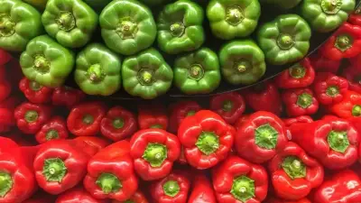 الفلفل الأحمر مقابل الأخضر: دراسة تكشف الفروق الغذائية الحاسمة لصحتك