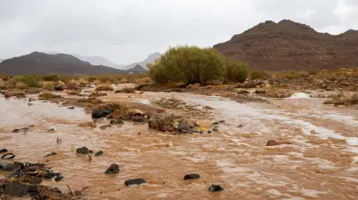 عواصف ترابية تخفض الرؤية في مكة وجدة وتحذيرات أمطار برتقالية وحمراء في مناطق المملكة