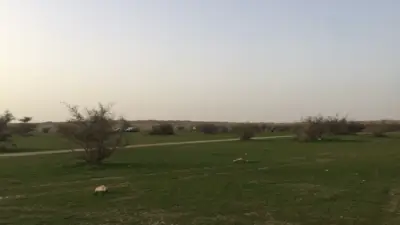 بداية فصل الربيع فلكياً في السعودية اليوم: الشمس تتعامد على خط الاستواء