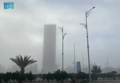 الضباب الكثيف يغطي سماء طريف ويؤثر على الرؤية الأفقية في المنطقة