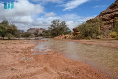 أمطار متوسطة إلى غزيرة تغمر مدينة حائل ومحافظاتها اليوم