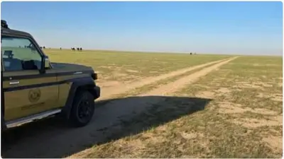 القوات الخاصة للأمن البيئي تضبط مواطنًا لرعي الإبل في محمية الملك عبدالعزيز الملكية