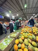 مأمورو ضبط يواصلون الرقابة على أسواق عسير خلال أسبوع