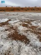 تساقط ثلوج كثيفة يحول سهول الجوف إلى لوحة بيضاء نادرة في مشهد خلاب