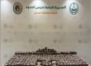 حرس الحدود السعودي يحبط محاولة تهريب ضخمة للمخدرات في منطقة عسير
