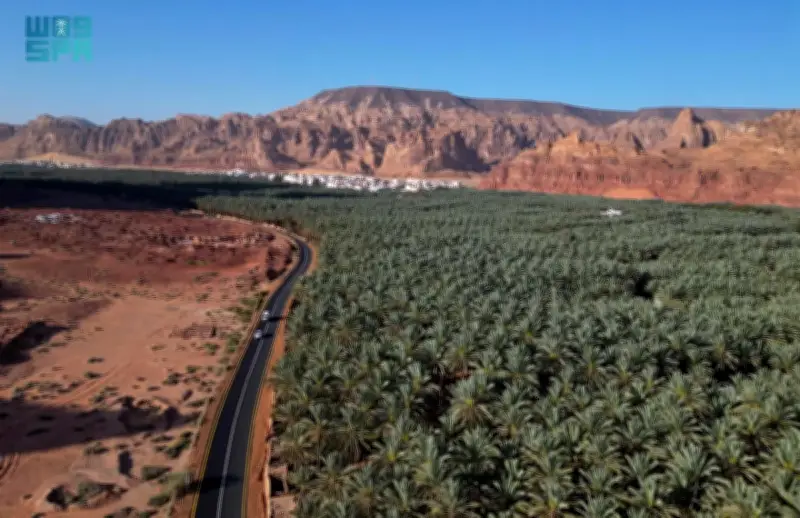 قيمة صادرات التمور السعودية تتجاوز 1.9 مليار ريال في 2025 بنمو 14.3%