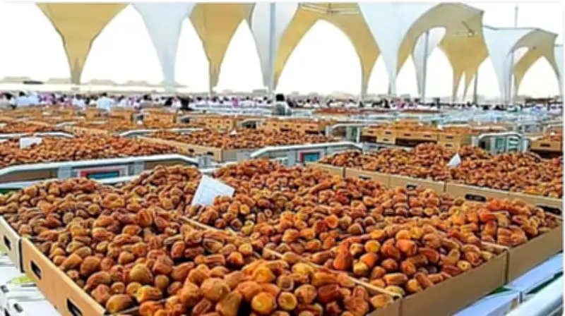 صادرات التمور السعودية تسجل 1.938 مليار ريال في 2025