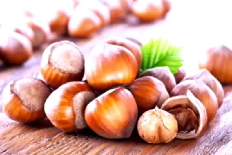 توقعات بتحول المملكة لمركز عالمي للسياحة والترفيه بحلول 2030