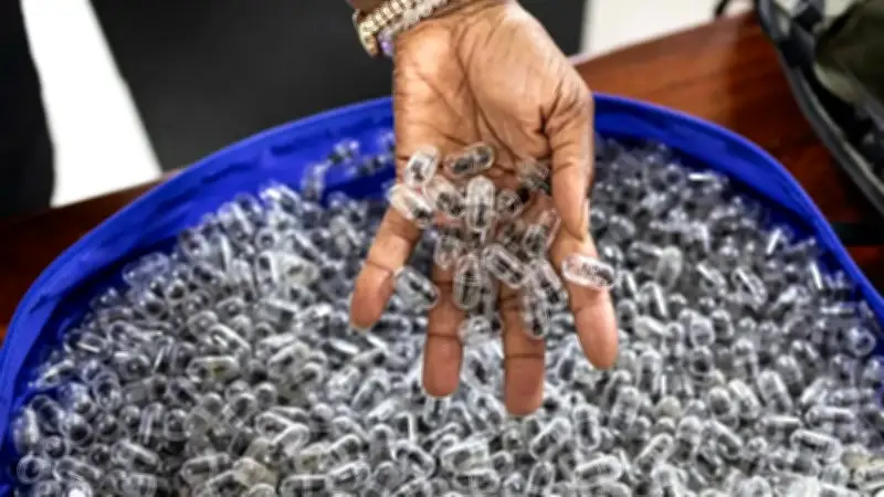 قضية تهريب 2200 نملة حية في كينيا: صيني يُسجن 12 شهراً ويُغرّم مليون شلن