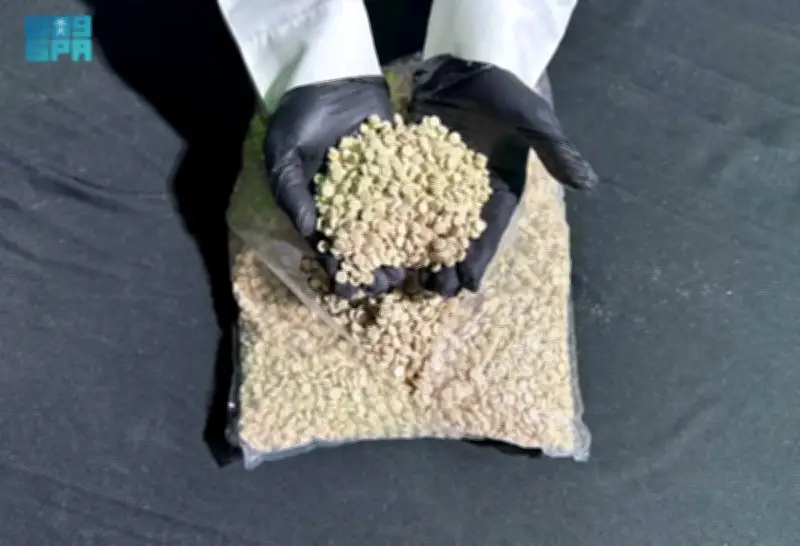 إحباط تهريب 2.7 مليون حبة كبتاجون في الدمام