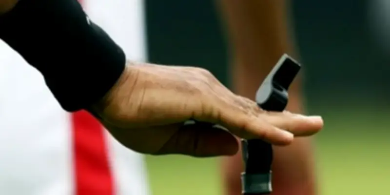 طواقم تحكيم مباريات الجولة 29 من دوري روشن السعودي