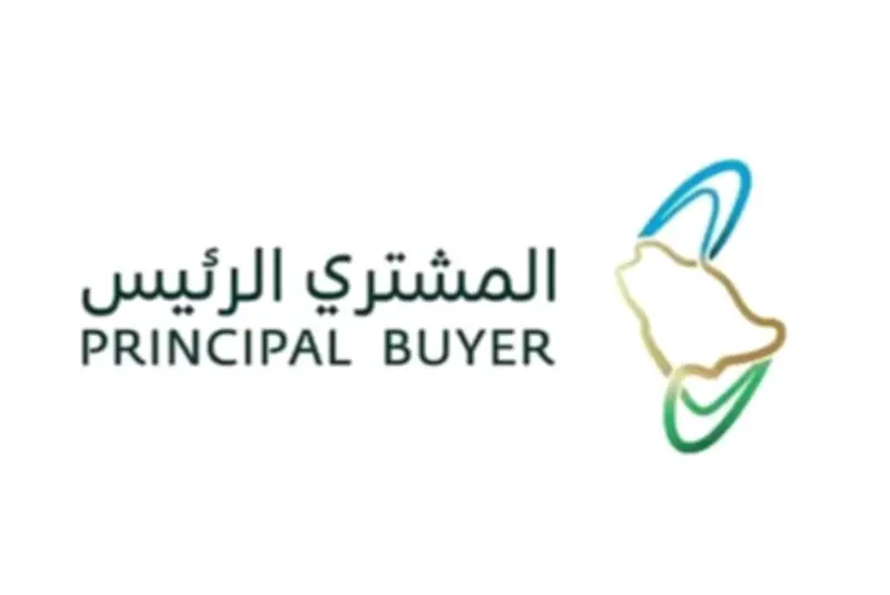 المشتري الرئيس يفتح تأهيل 6 مشروعات لتخزين الطاقة بالبطاريات بسعة 12 ألف ميجاواط ساعة