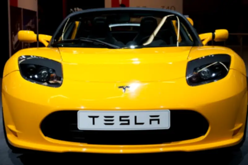 تسلا تخطط لزيادة معارضها في اليابان إلى 60 فرعاً لتعزيز انتشار السيارات الكهربائية