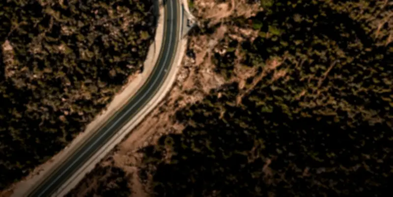 السعودية تطلق استثمارات بـ 700 مليار ريال وإنجازات بيئية غير مسبوقة