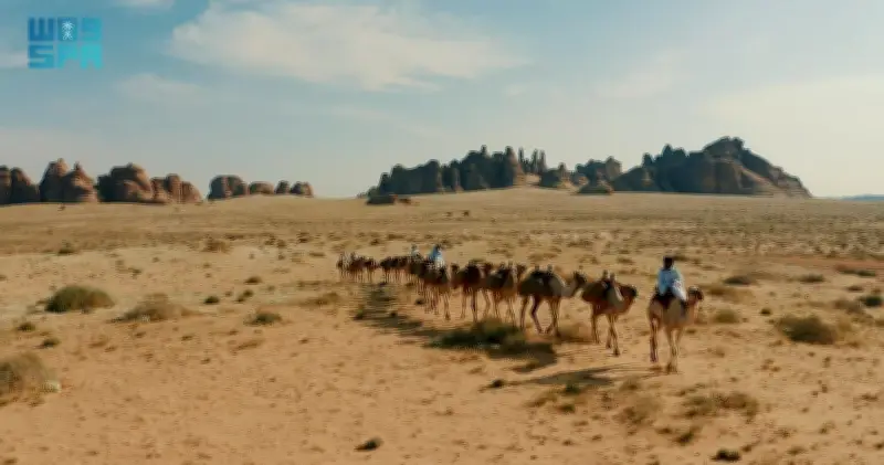 وزير التعليم يعلن عن إطلاق برنامج جديد لتحسين جودة التعليم في المدارس الحكومية