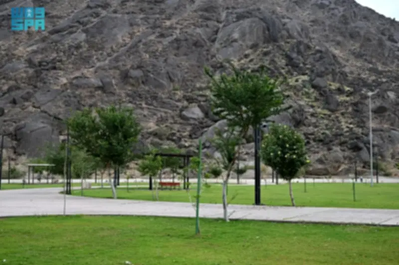 متنزه الصفا في نجران: لوحة طبيعية فاتنة تجمع بين عراقة التاريخ وجمال الطبيعة