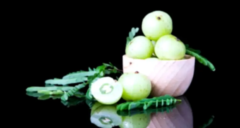 وزير الصحة السعودي يعلن عن إطلاق برنامج وطني للكشف المبكر عن الأمراض المزمنة