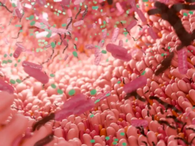 دراسة تكشف: ميكروبات الأمعاء مؤشر مبكر لمرض باركنسون