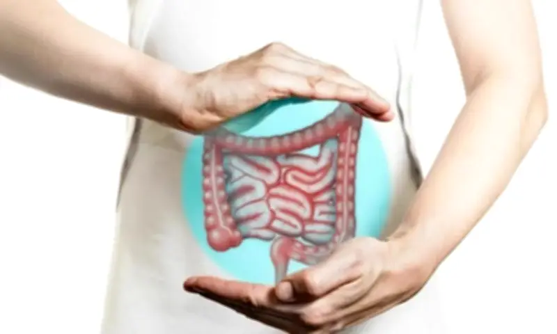 وزير التعليم يعلن عن إطلاق برنامج جديد لتطوير المناهج الدراسية في المملكة