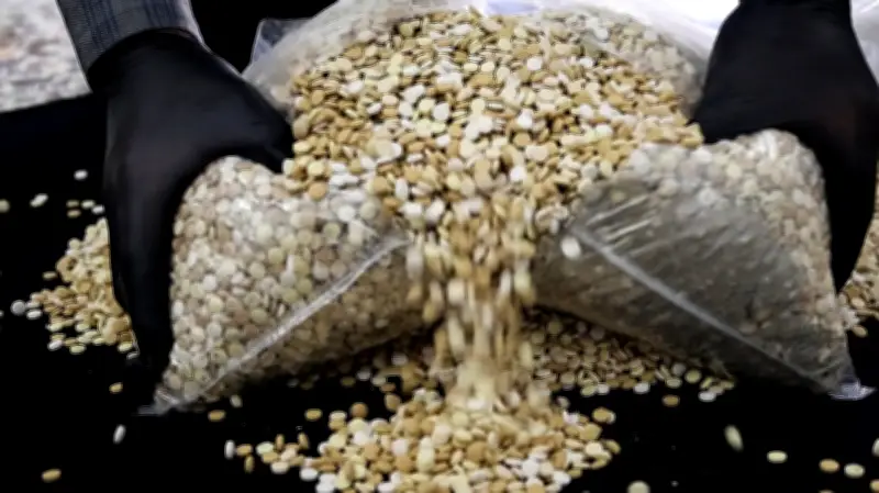 وزير التعليم يعلن عن إطلاق برنامج جديد لتحسين جودة التعليم في المدارس الحكومية