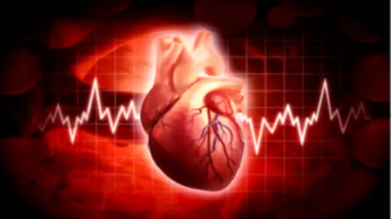 دراسة أمريكية تكشف: عنوان سكنك في العشرين يحدد صحة قلبك في الخمسين