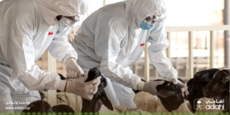 تحول رقمي في قطاع الصحة السعودي بتقنيات الذكاء الاصطناعي