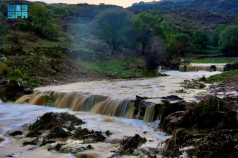 أمطار الباحة تزين الجبال والشلالات وتنعش السياحة الداخلية