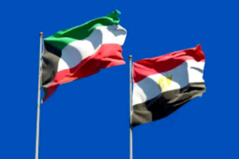 مصر تدين الهجوم بطائرات مسيرة على المراكز الحدودية الكويتية