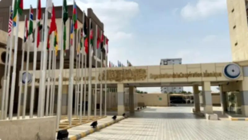 التعاون الإسلامي يدين العمليات العسكرية في مالي ويؤكد التضامن