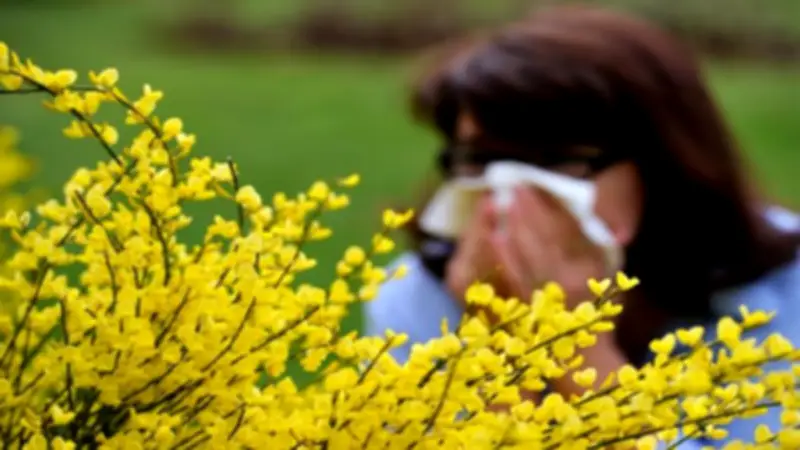 نصائح طبية للوقاية من حساسية الصدر في الربيع