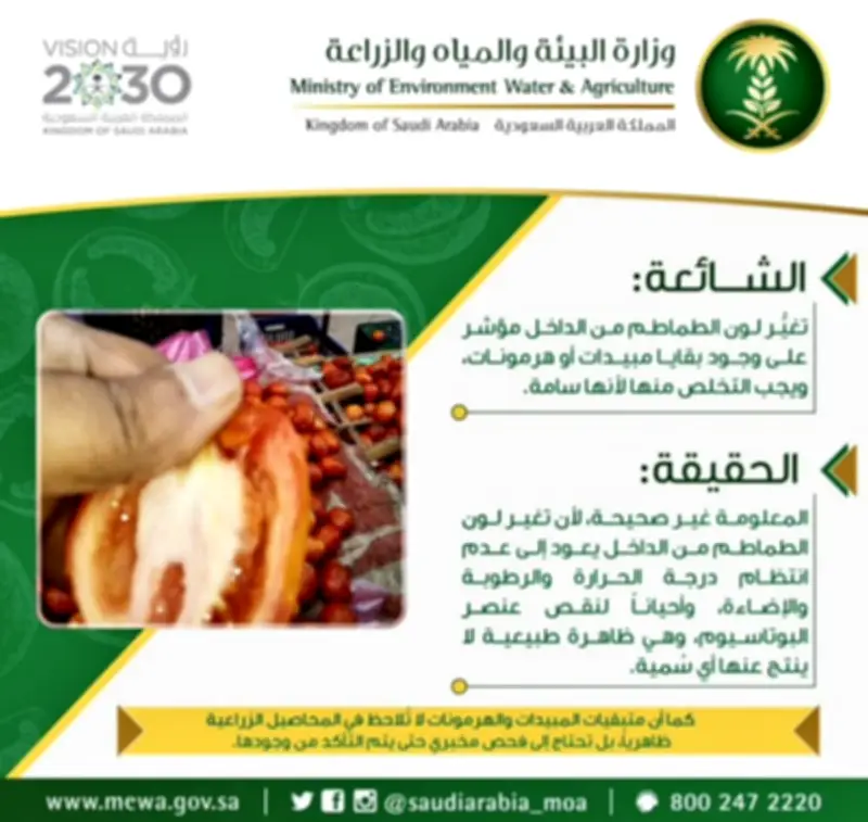 د. خالد النمر يفند شائعة ارتباط اللون الأبيض في الطماطم بالفشل الكلوي