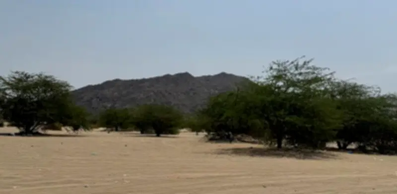 متنزه وادي المغمس البري وجهة بيئية فريدة في مكة المكرمة