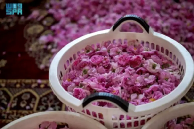 صناعة ماء الورد في الطائف: حرفة تراثية تزدهر بجودة عالية وتقنيات حديثة