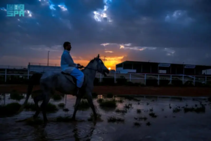 الباحة تكتسي بالبياض تحت زخّات المطر والبرد.. مشاهد طبيعية تزيد جاذبيتها السياحية