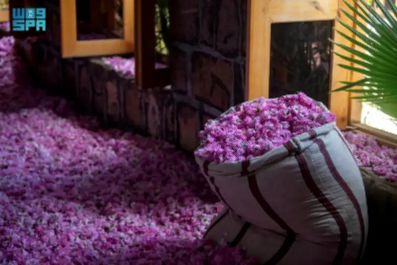 وزير التعليم يعلن عن إطلاق برنامج جديد لتحسين جودة التعليم في المدارس الحكومية