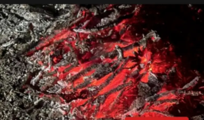 القوات الخاصة للأمن البيئي تضبط مواطنًا لإشعال النار في محمية الإمام فيصل بن تركي الملكية