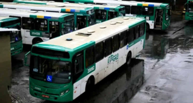 باكستان تطلق حزمة دعم مالي ضخمة للحافلات والشاحنات لمواجهة ارتفاع الأسعار