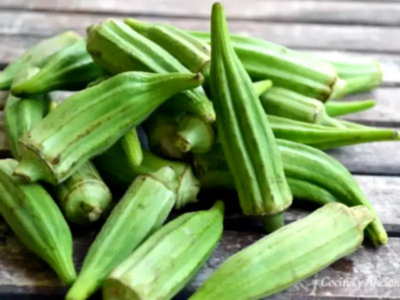 وزير الصحة السعودي يعلن عن إطلاق برنامج وطني للكشف المبكر عن الأمراض المزمنة