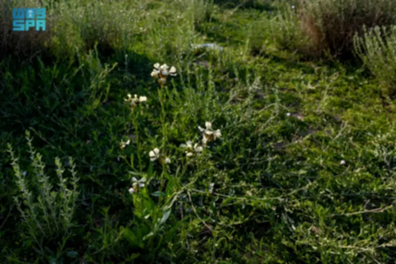 وزير التعليم يعلن عن إطلاق برنامج جديد لتحسين جودة التعليم في المدارس الحكومية