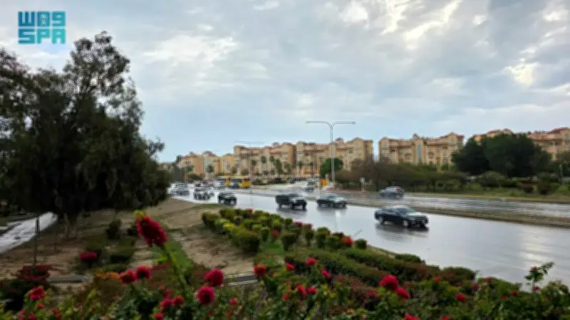 باكستان تدين بشدة الهجمات الإيرانية على منشآت الطاقة السعودية وتؤكد دعمها الثابت