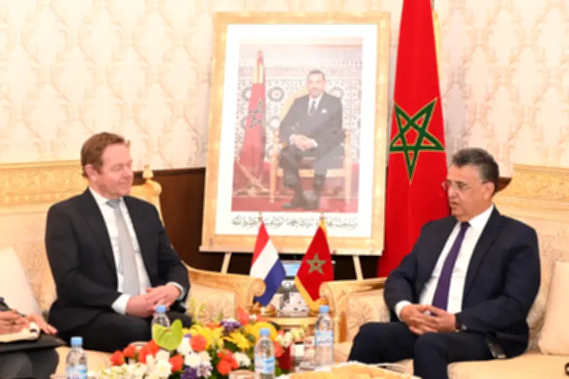 مغربية - هولندية: مباحثات الرباط لتعزيز الشراكة الاستراتيجية في العدالة والأمن