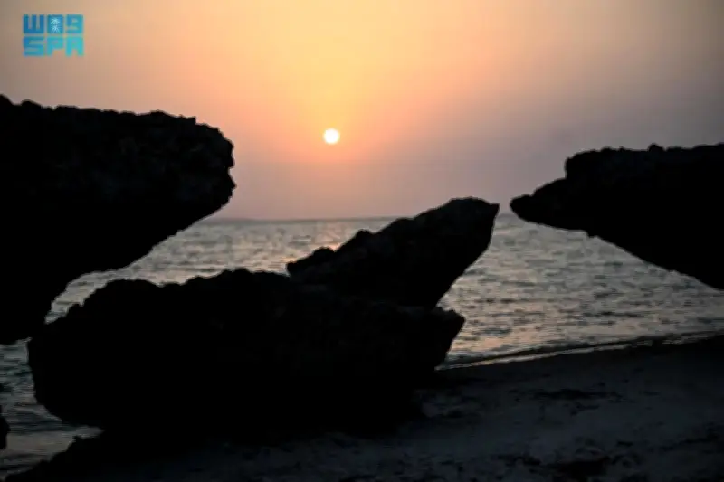 وزير الصحة السعودي يعلن عن إطلاق برنامج وطني شامل للكشف المبكر عن الأمراض المزمنة