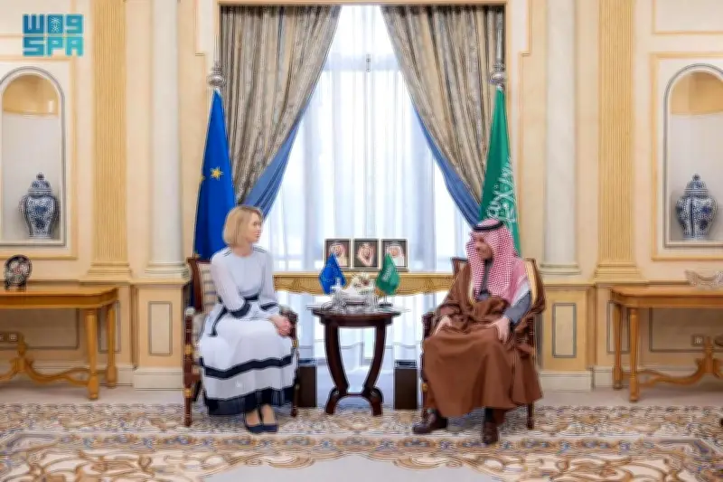 وزير الخارجية يستقبل الممثلة العليا للاتحاد الأوروبي لبحث الشراكة الإستراتيجية والأوضاع الإقليمية