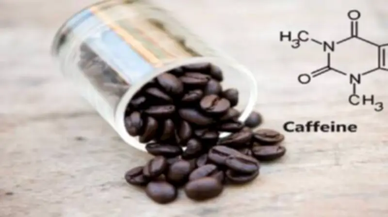 دراسة جديدة تكشف: شرب القهوة لا يسبب الأرق ويحسن اليقظة النهارية