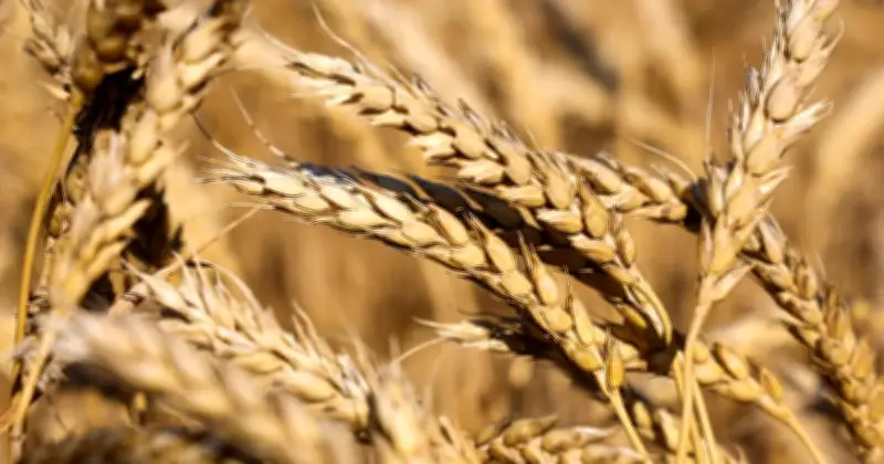 وزير الصحة السعودي يعلن عن إطلاق برنامج وطني جديد للكشف المبكر عن الأمراض المزمنة