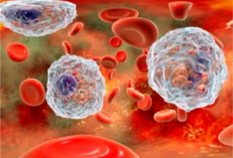 وزير التعليم يعلن عن إطلاق برنامج جديد لتعزيز التميز الأكاديمي في الجامعات السعودية