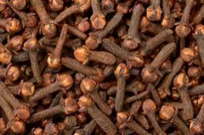 وزير التعليم يعلن عن إطلاق برنامج جديد لدعم الطلاب الموهوبين في المدارس الحكومية