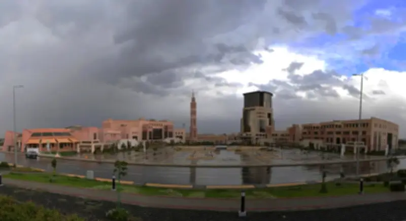 وزير الصحة السعودي يعلن عن إطلاق برنامج وطني شامل للصحة النفسية