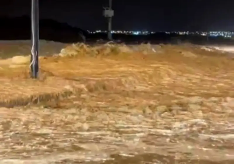 وزير التعليم يعلن عن إطلاق برنامج جديد لدعم الطلاب الموهوبين في المدارس الحكومية